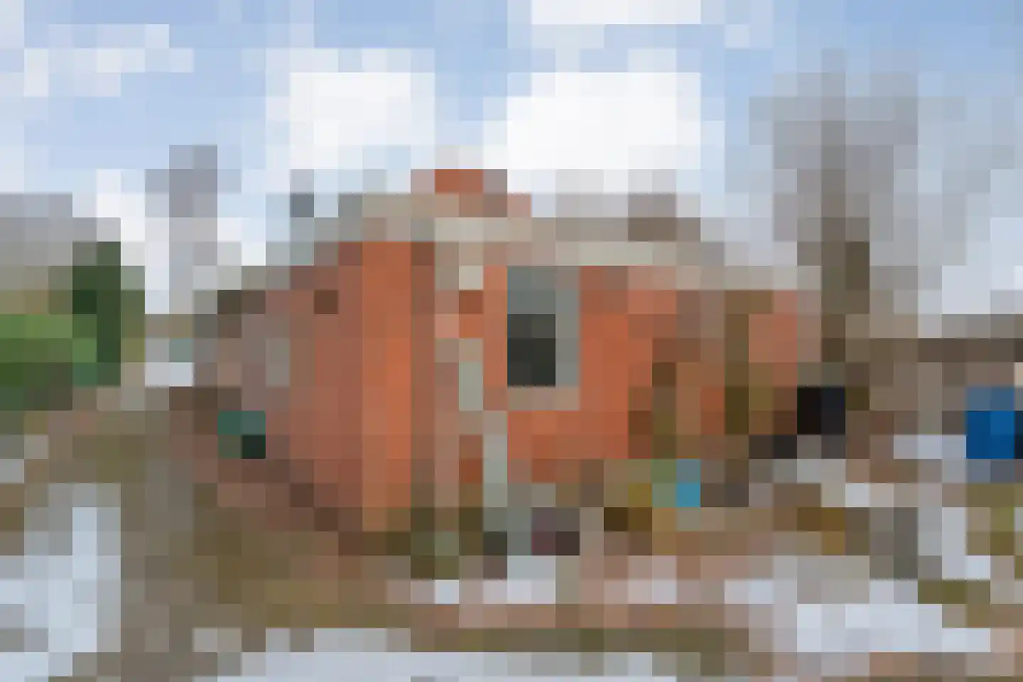 Roswinkelerstraat 36 Roswinkel thumbnail 51