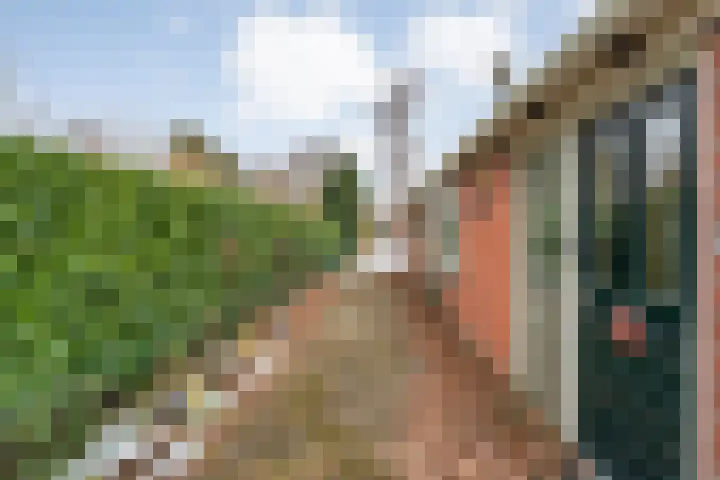 Roswinkelerstraat 36 Roswinkel thumbnail 52