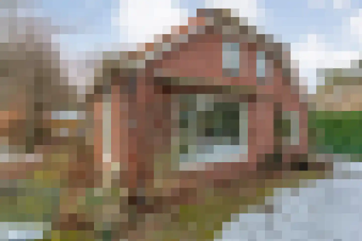 Roswinkelerstraat 36 Roswinkel thumbnail 7