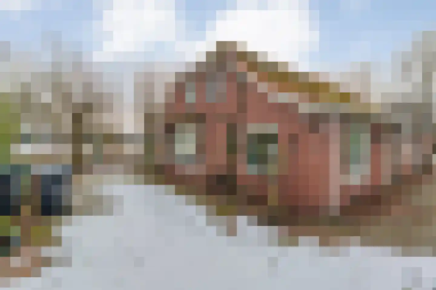 Roswinkelerstraat 36 Roswinkel thumbnail 9
