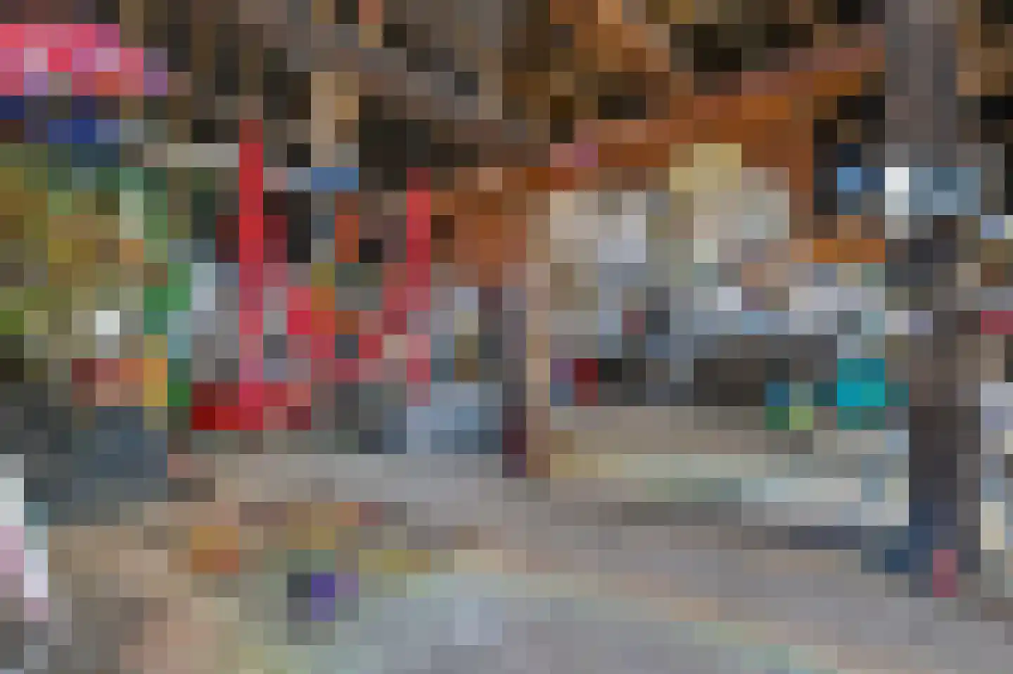 Roswinkelerstraat 56 Roswinkel thumbnail 15
