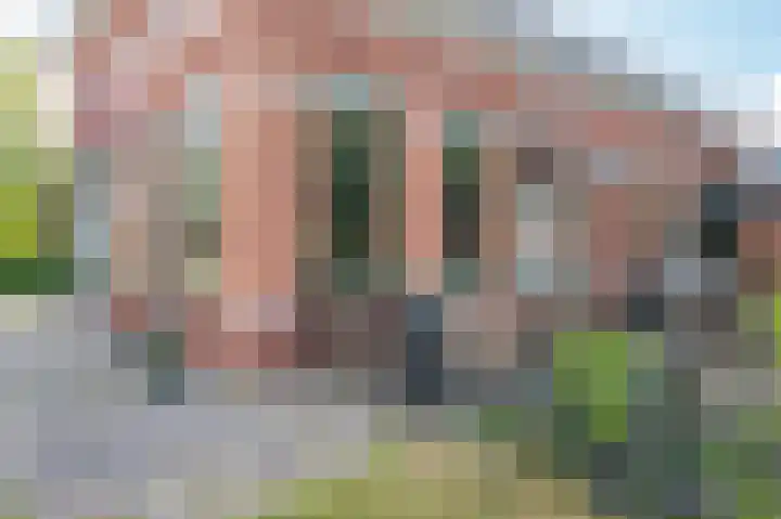 Roswinkelerstraat 66 Roswinkel thumbnail 73