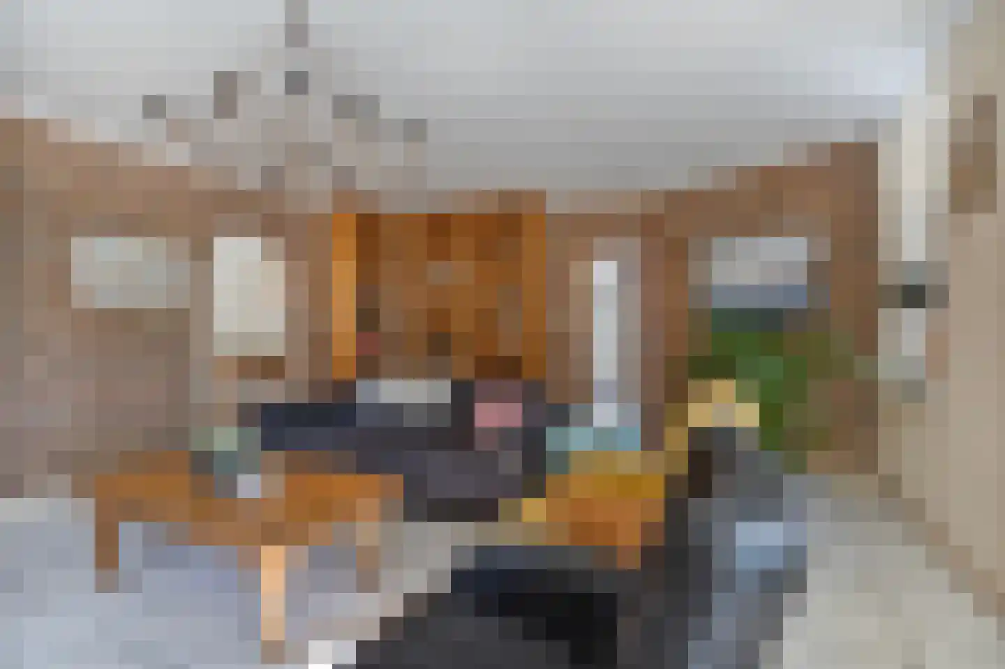 Roswinkelerstraat 71 Roswinkel thumbnail 10