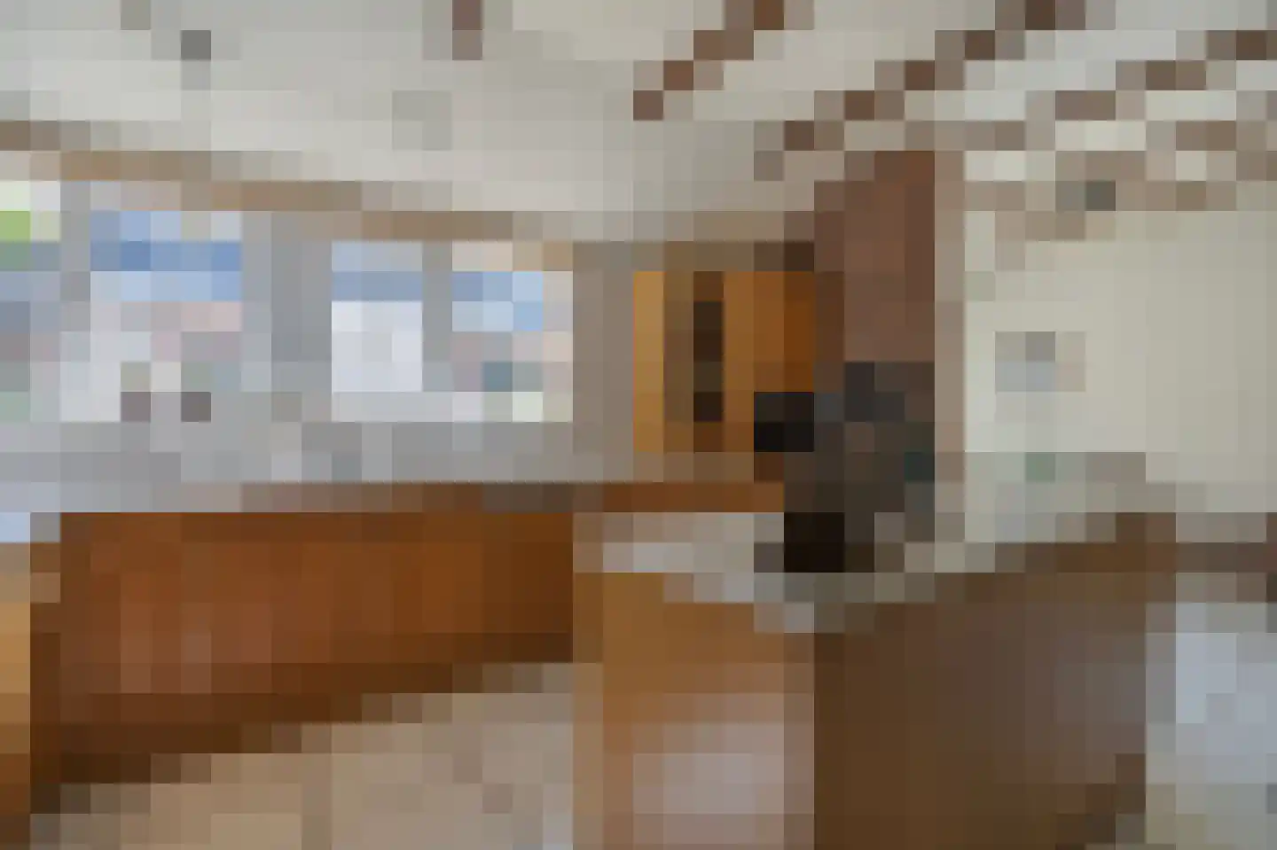 Roswinkelerstraat 71 Roswinkel thumbnail 16