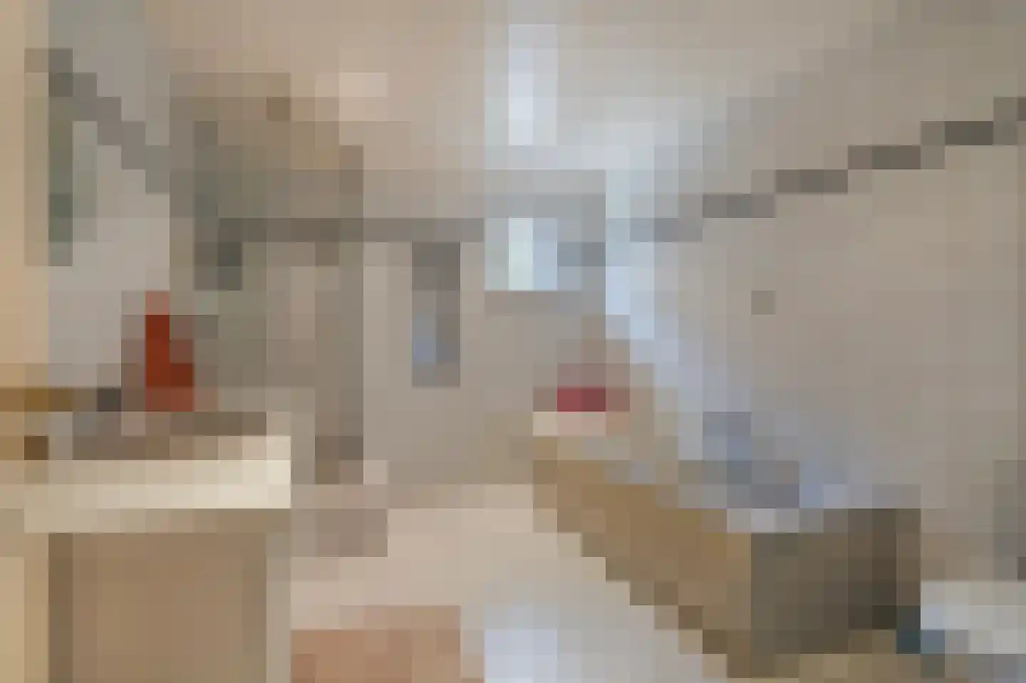 Roswinkelerstraat 71 Roswinkel thumbnail 22