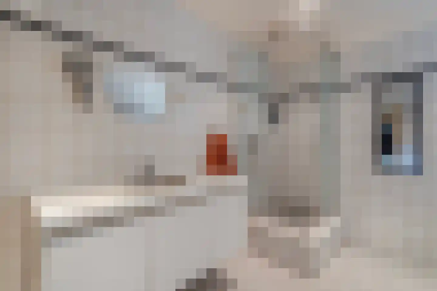 Roswinkelerstraat 71 Roswinkel thumbnail 23