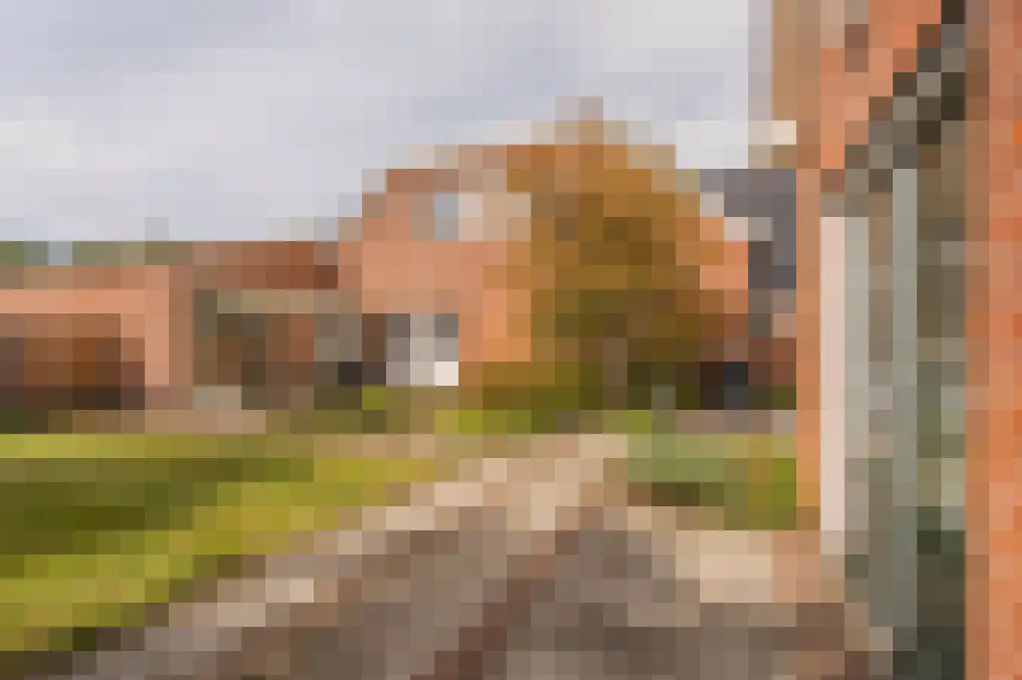 Roswinkelerstraat 71 Roswinkel thumbnail 64