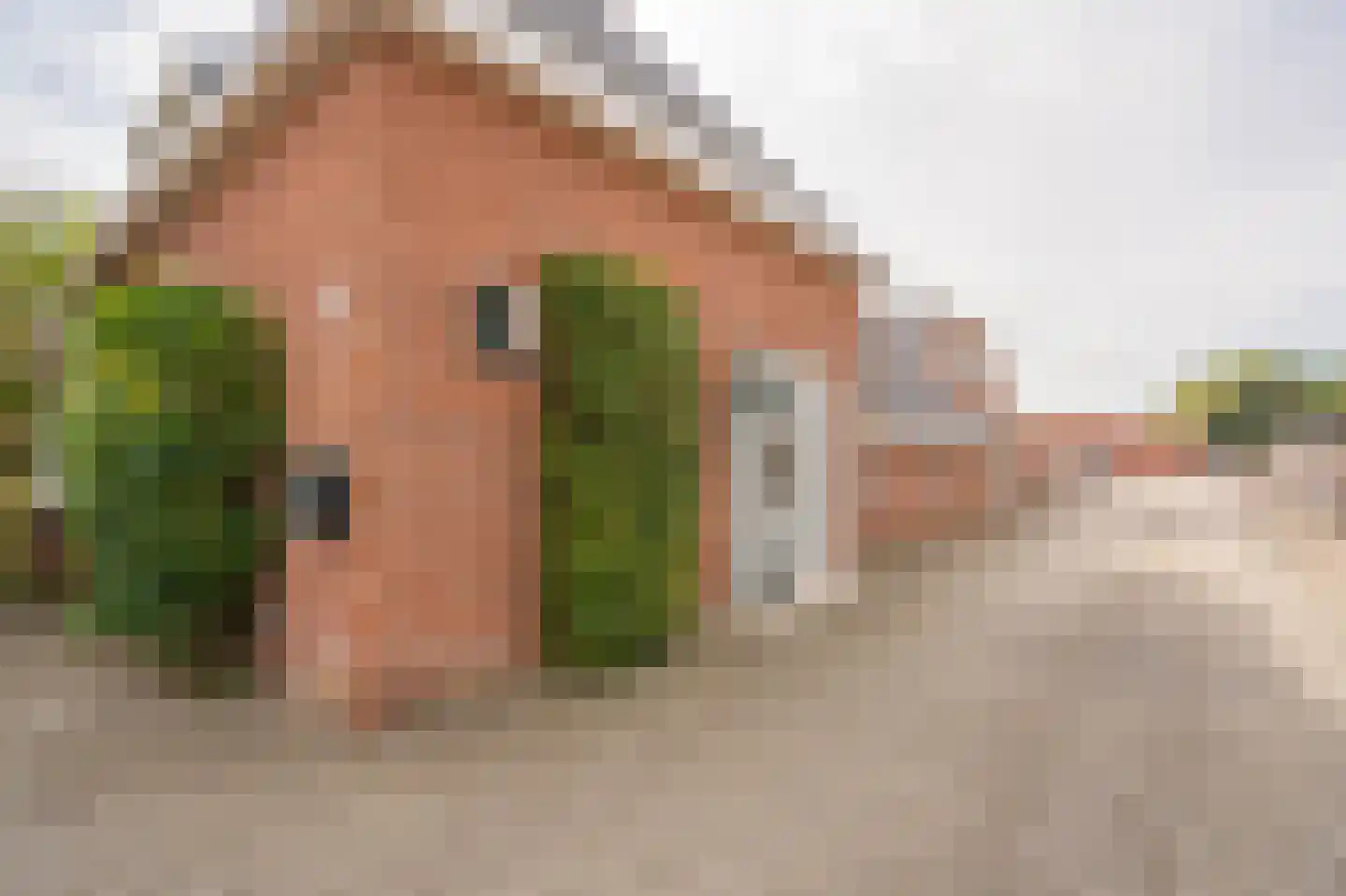 Roswinkelerstraat 71 Roswinkel thumbnail 71