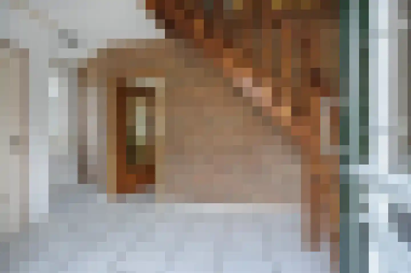 Roswinkelerstraat 71 Roswinkel thumbnail 8