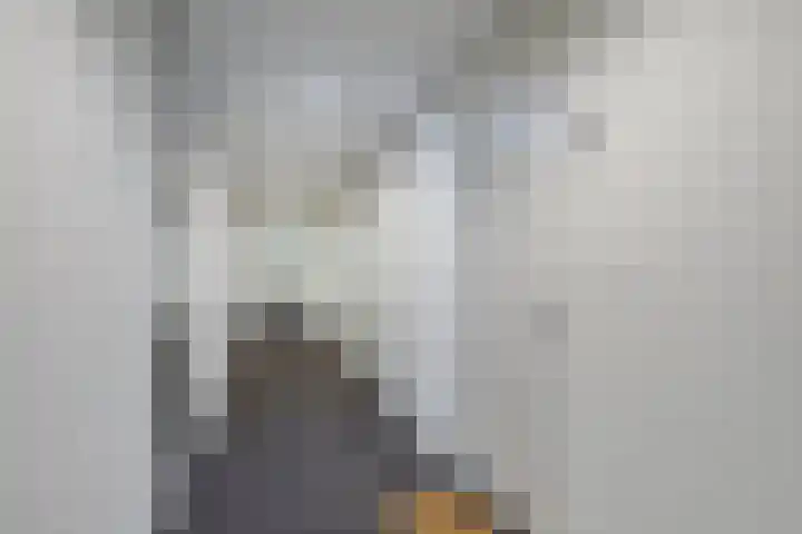 Rosy Wertheimstraat 11 Amsterdam thumbnail 10
