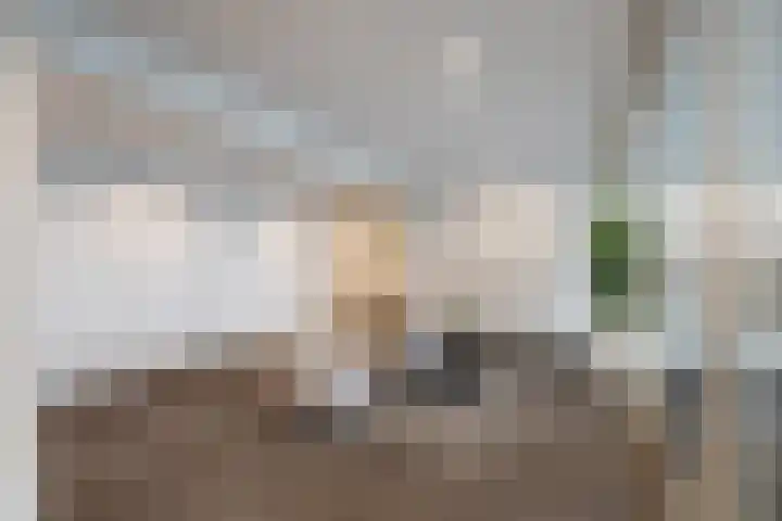 Rosy Wertheimstraat 11 Amsterdam thumbnail 12