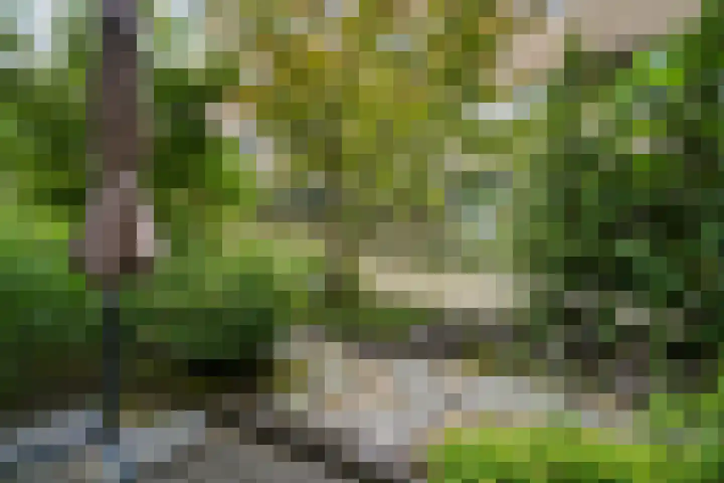 Rosy Wertheimstraat 22 Amsterdam thumbnail 18