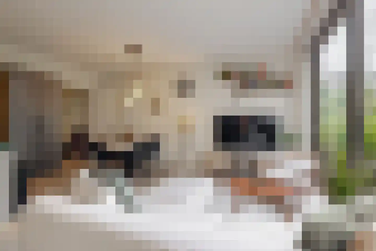 Rosy Wertheimstraat 22 Amsterdam thumbnail 19