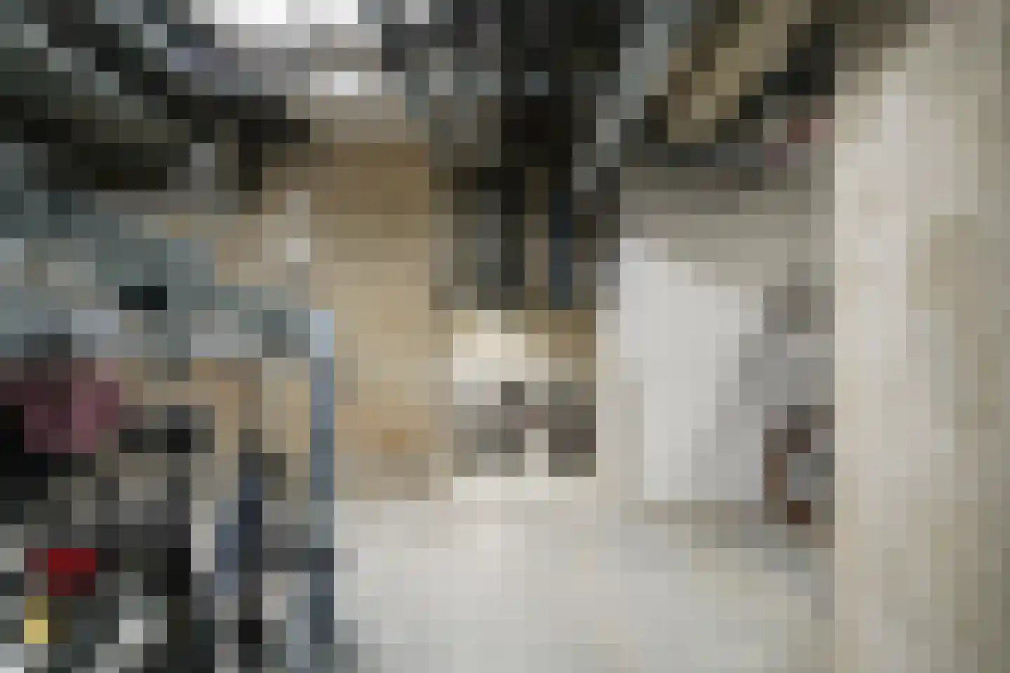 Rosy Wertheimstraat 22 Amsterdam thumbnail 25