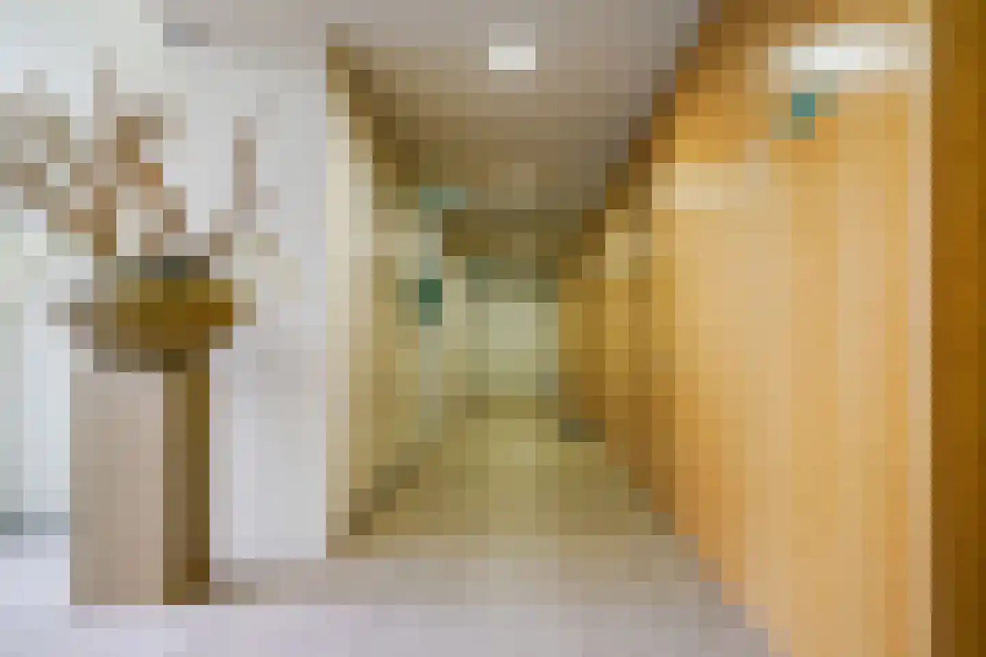 Rosy Wertheimstraat 22 Amsterdam thumbnail 8