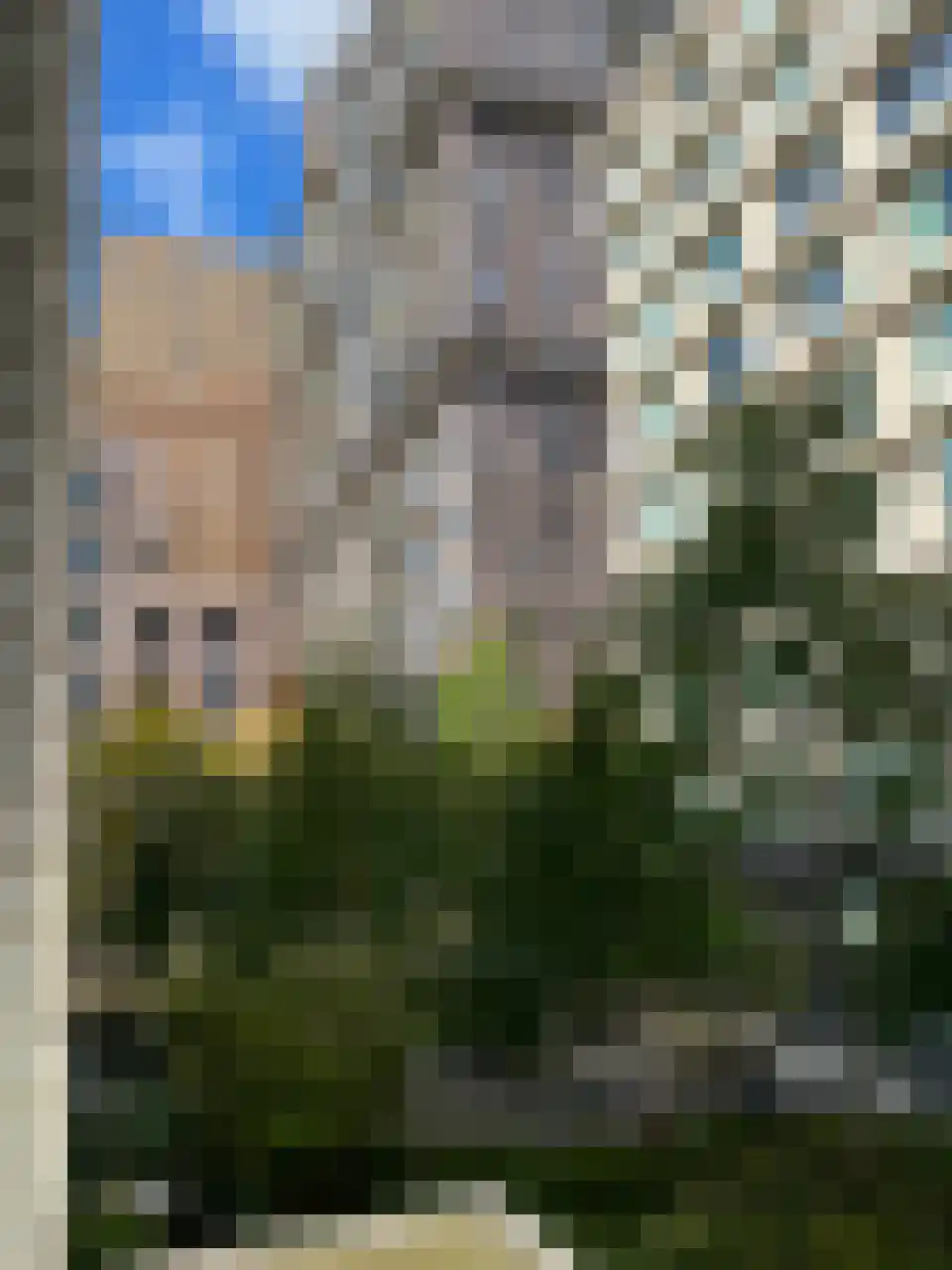 Rosy Wertheimstraat 37 Amsterdam thumbnail 12