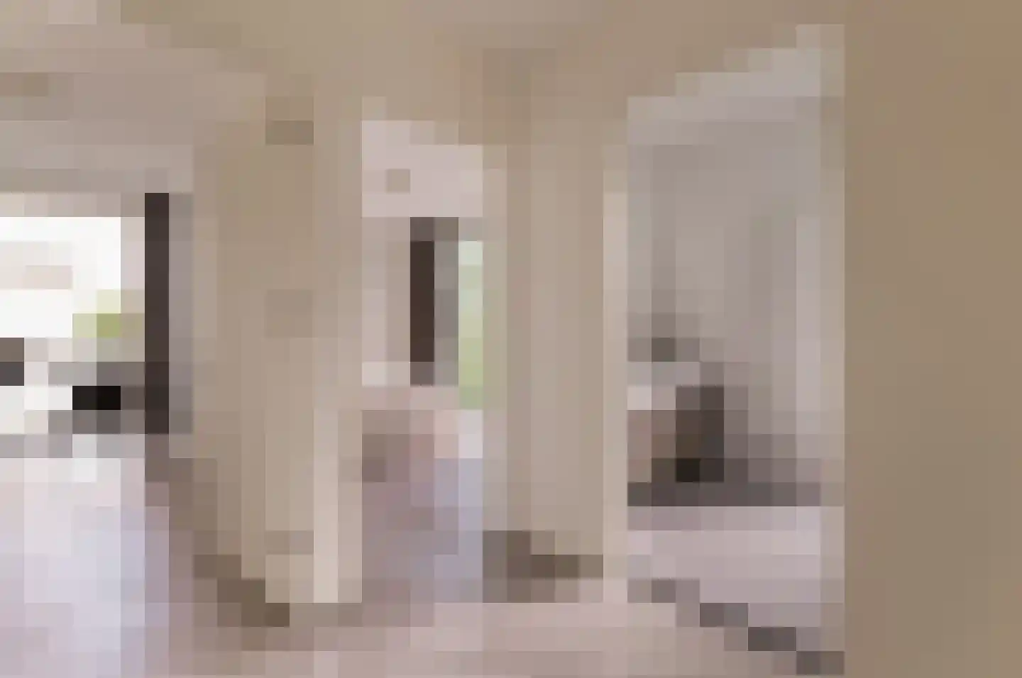 Rosy Wertheimstraat 39 Amsterdam thumbnail 16
