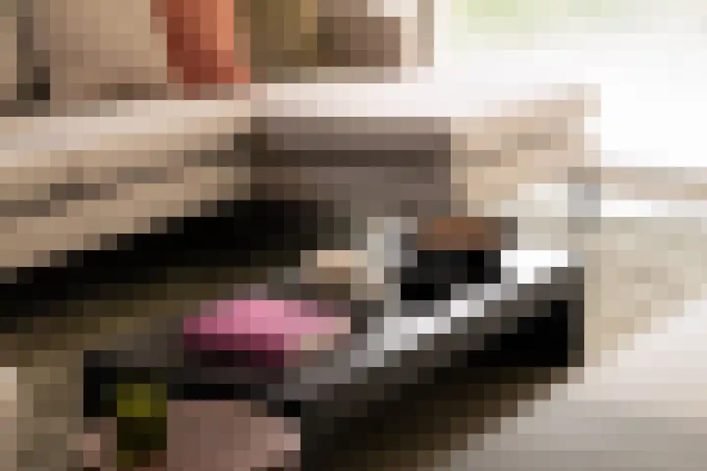 Rosy Wertheimstraat 39 Amsterdam thumbnail 8