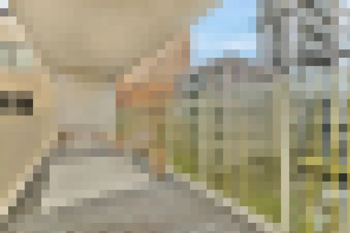 Rosy Wertheimstraat 46 Amsterdam thumbnail 12