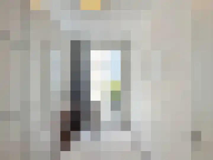 Rosy Wertheimstraat 85 Amsterdam thumbnail 18