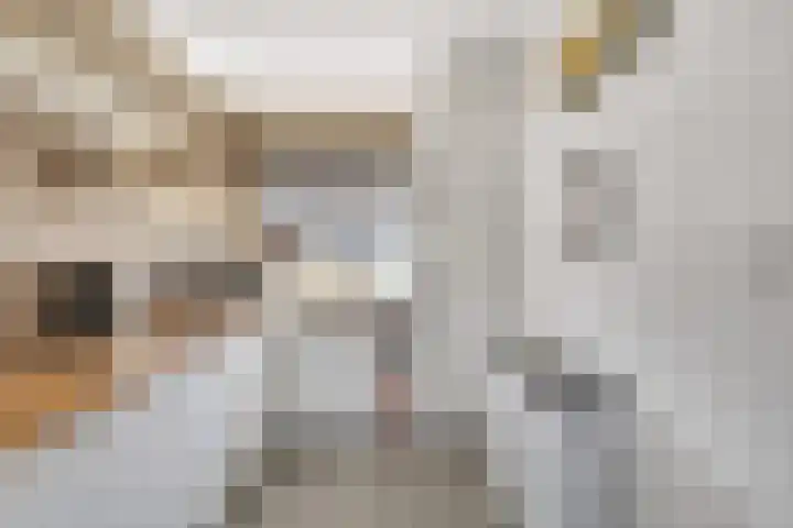 Roterij 9 Hellevoetsluis thumbnail 17