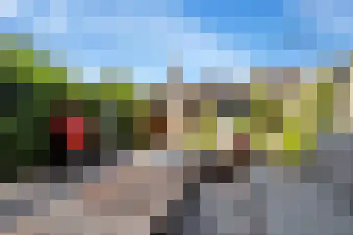 Roterij 9 Hellevoetsluis thumbnail 20