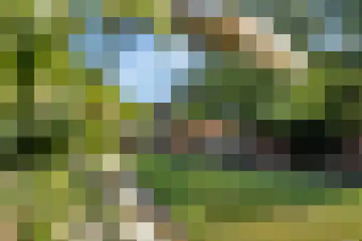 Roterij 9 Hellevoetsluis thumbnail 23