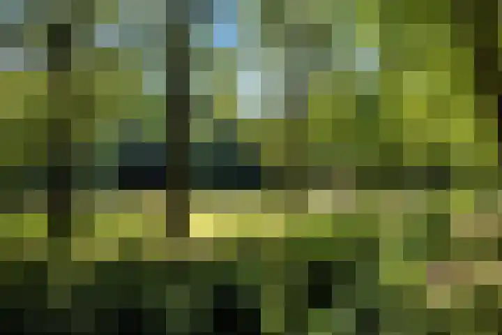 Roterij 9 Hellevoetsluis thumbnail 45