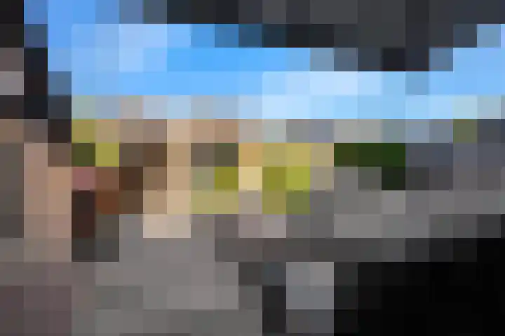 Roterij 9 Hellevoetsluis thumbnail 5
