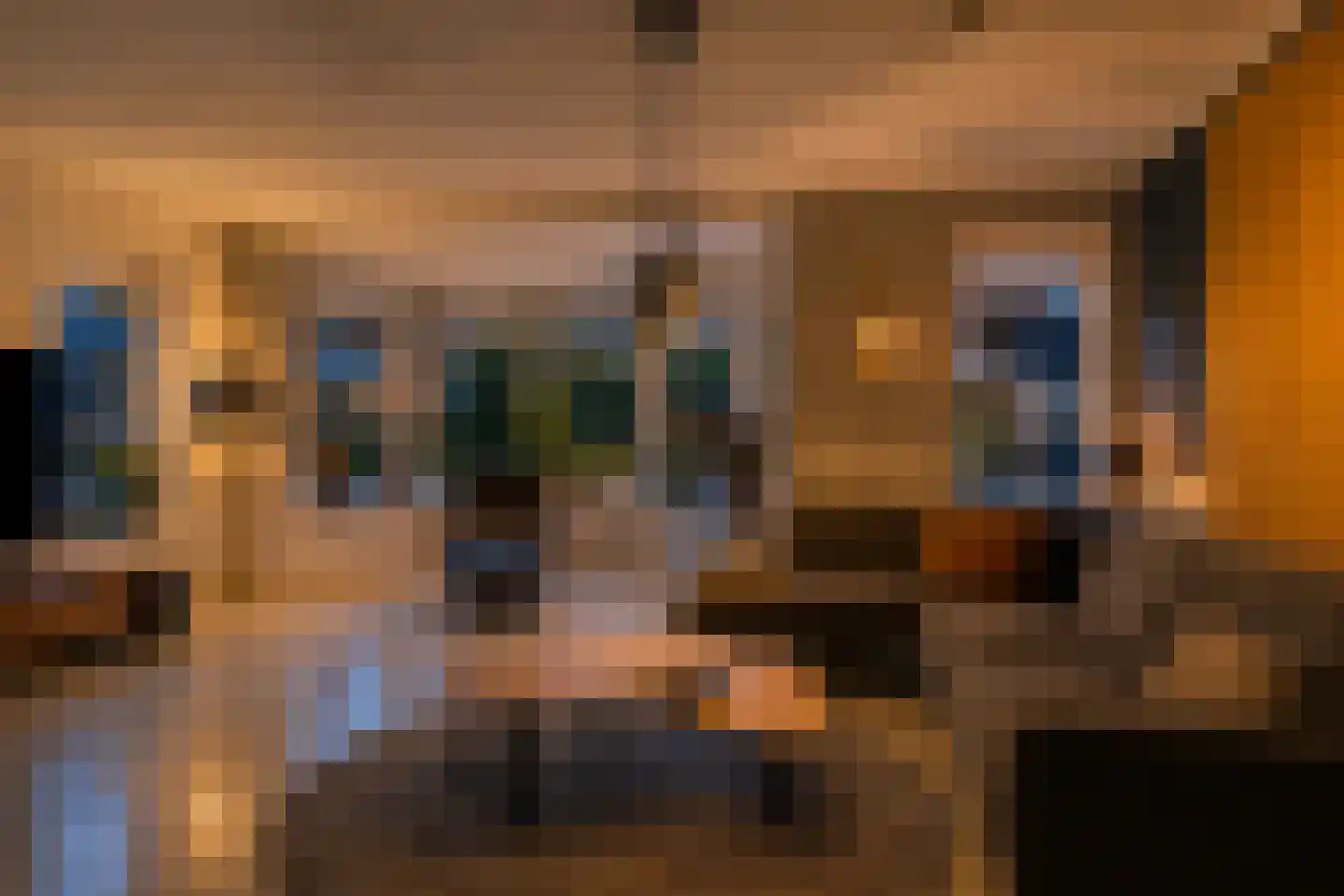 Rotertkamp 20 Enschede thumbnail 13