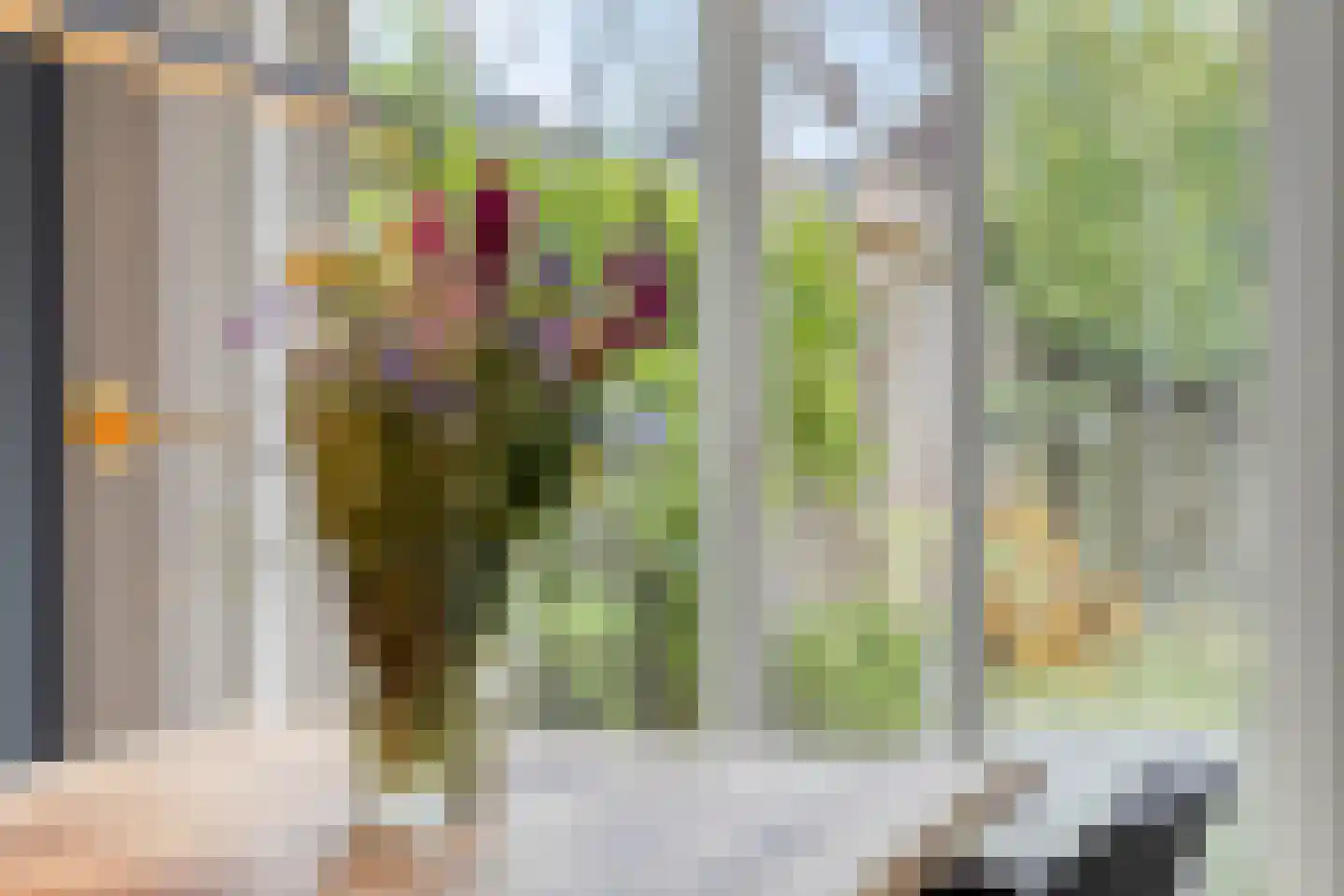Rotertkamp 20 Enschede thumbnail 18
