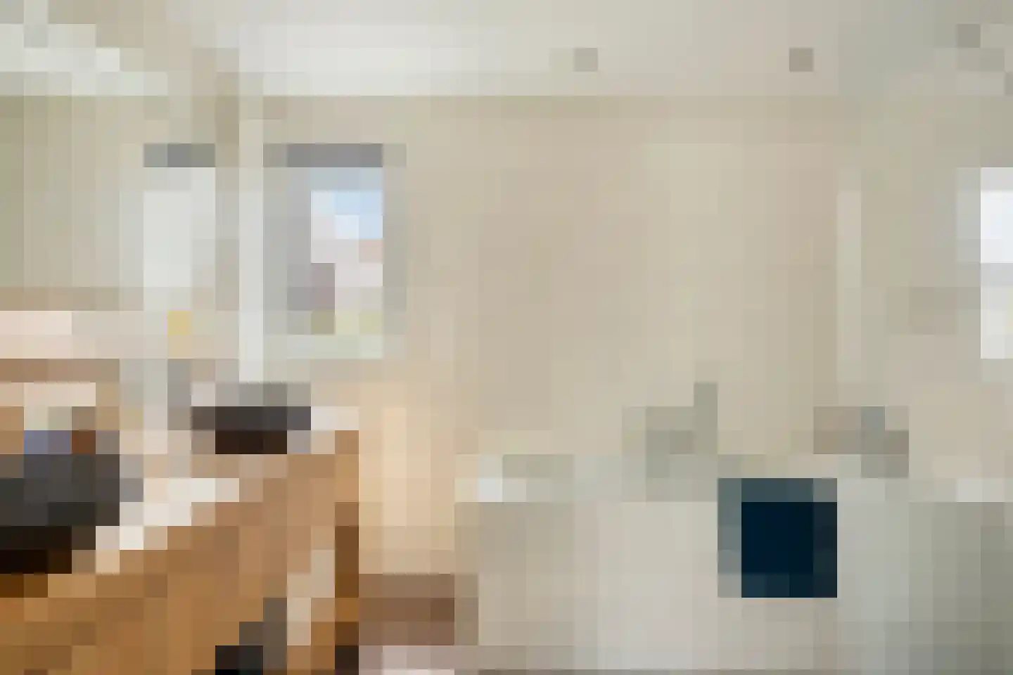 Rotertkamp 20 Enschede thumbnail 4