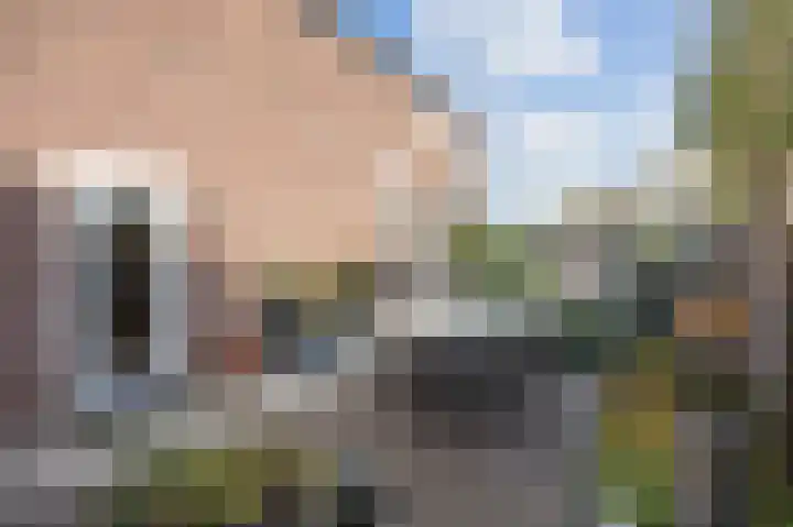 Roterweg 1 Echt thumbnail 34