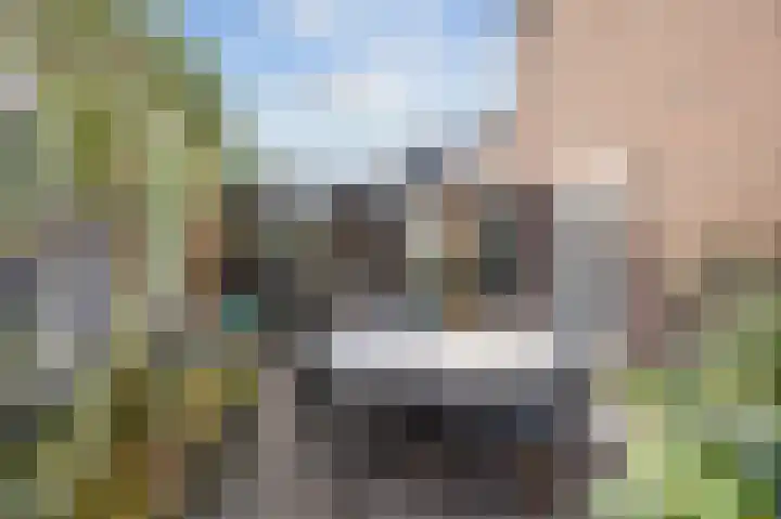 Roterweg 1 Echt thumbnail 36