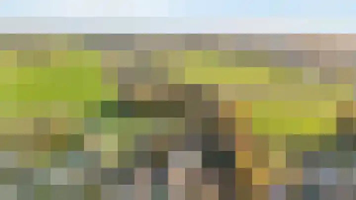 Roterweg 1 Echt thumbnail 44