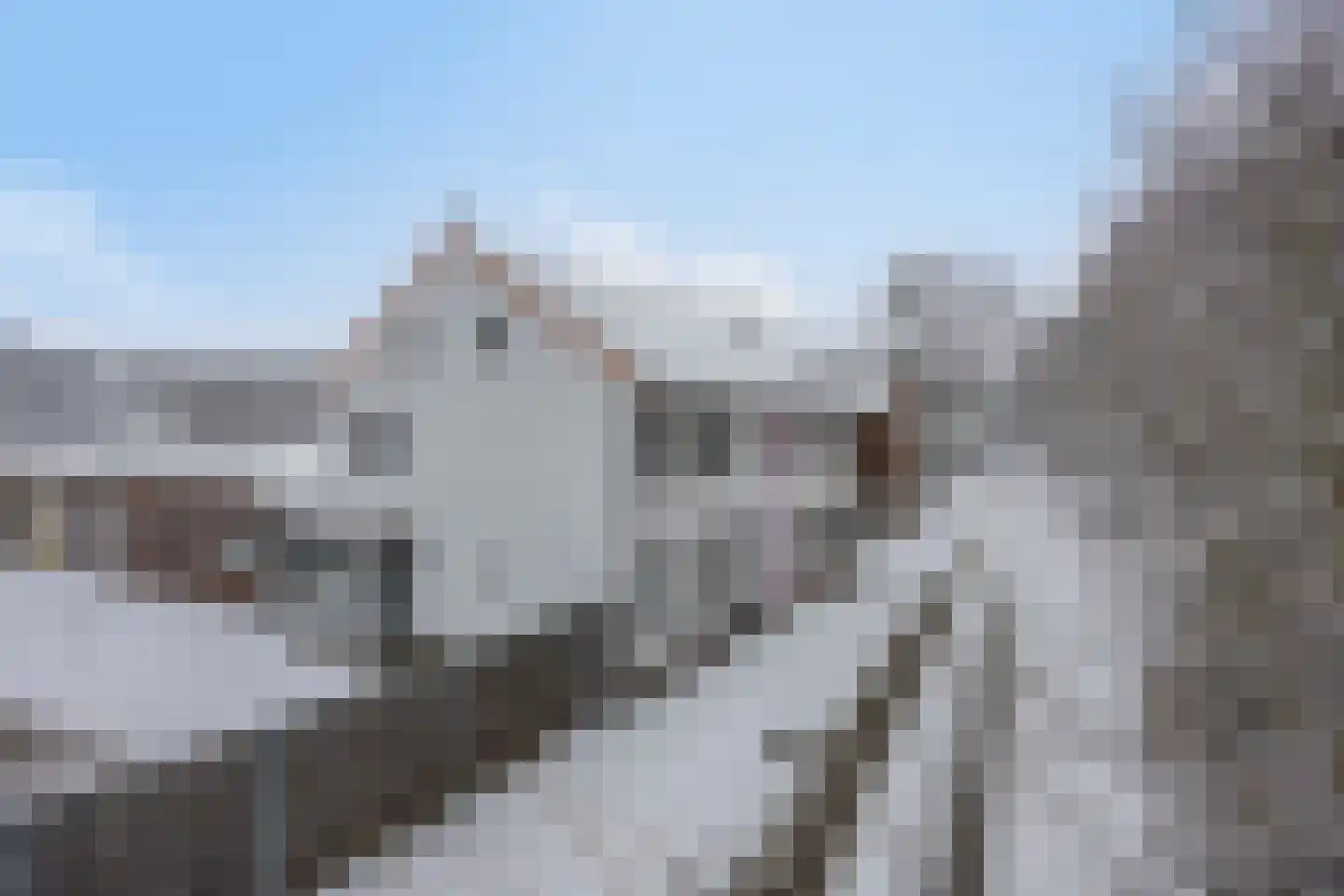 Rothweg 16 Guttecoven thumbnail 57