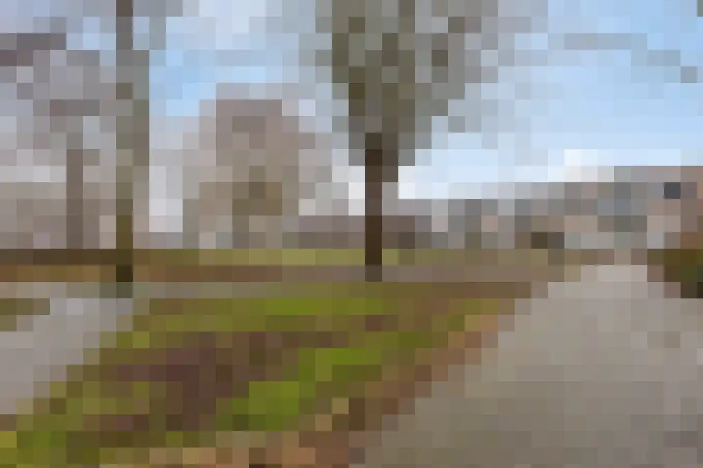 Rotiusstraat 13 Hoorn thumbnail 35
