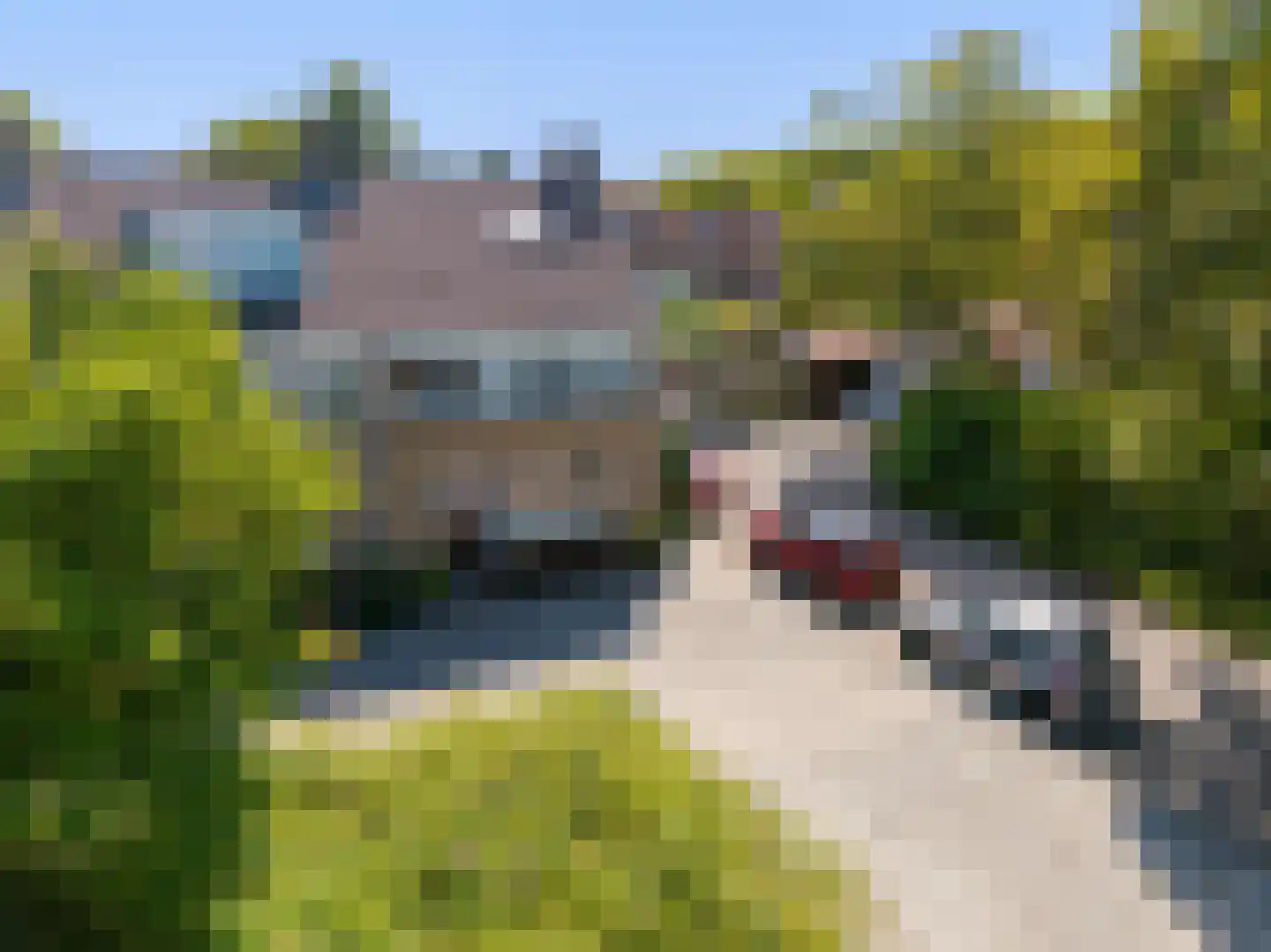 Rotiusstraat 2 Hoorn thumbnail 9