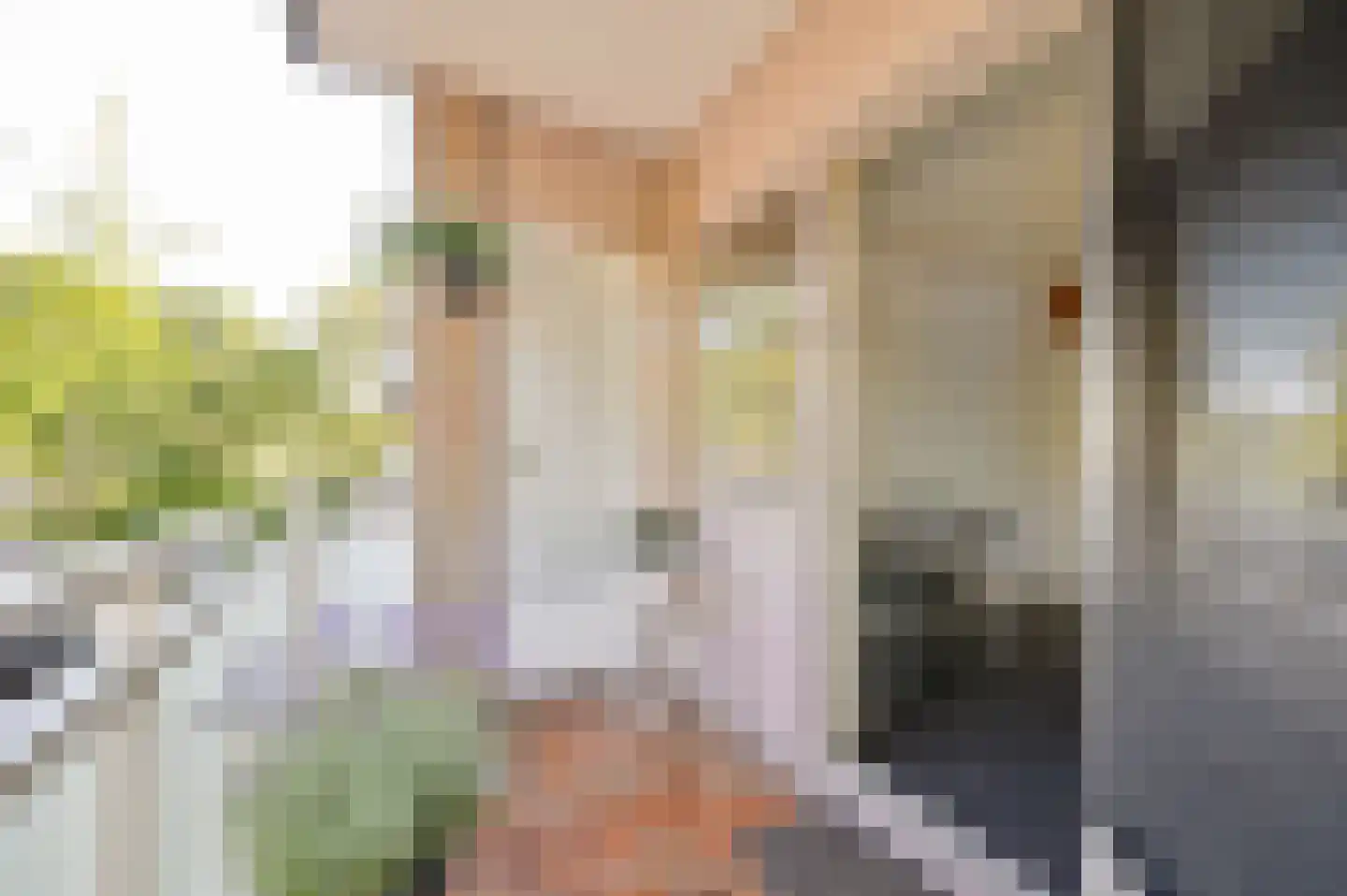 Rotiusstraat 21 Hoorn thumbnail 17