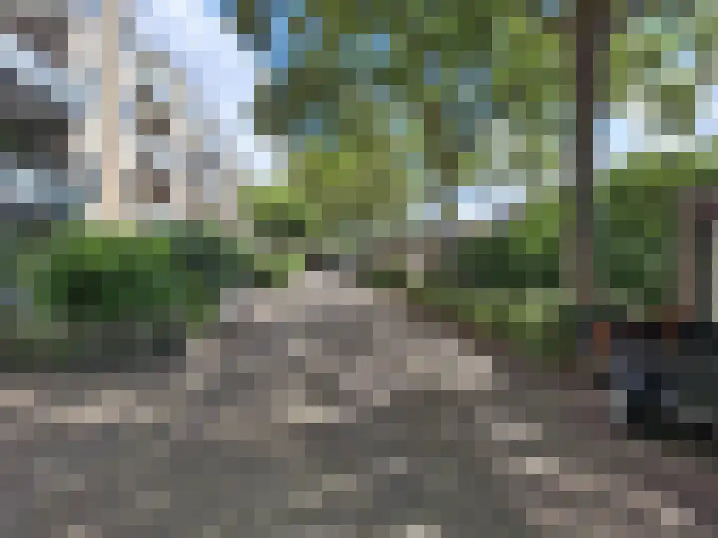 Rotiusstraat 901 Hoorn thumbnail 6