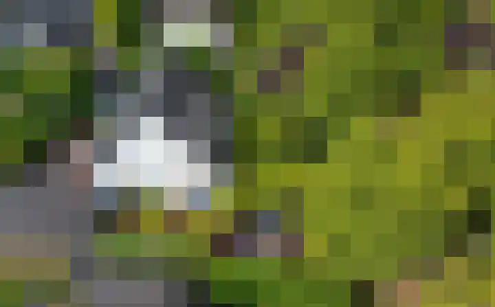 Rotondeweg 26 Blaricum thumbnail 33