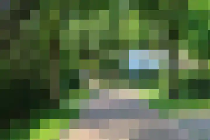 Rotondeweg 26 Blaricum thumbnail 35