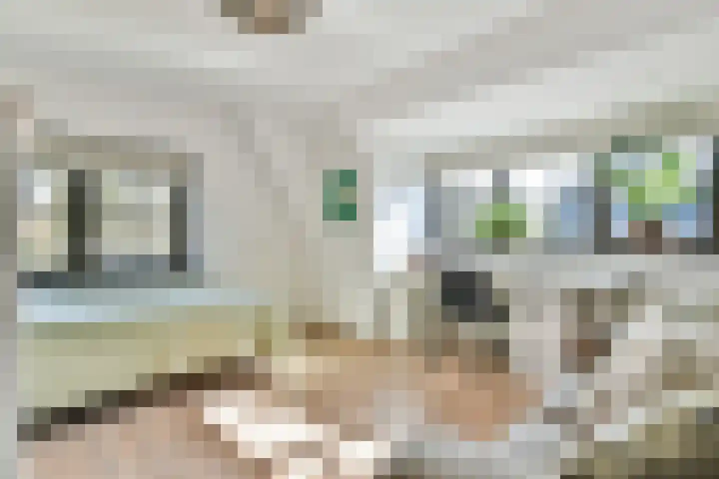 Rotondeweg 3 Blaricum thumbnail 22