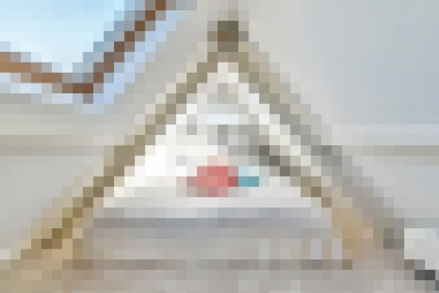 Rotondeweg 3 Blaricum thumbnail 30