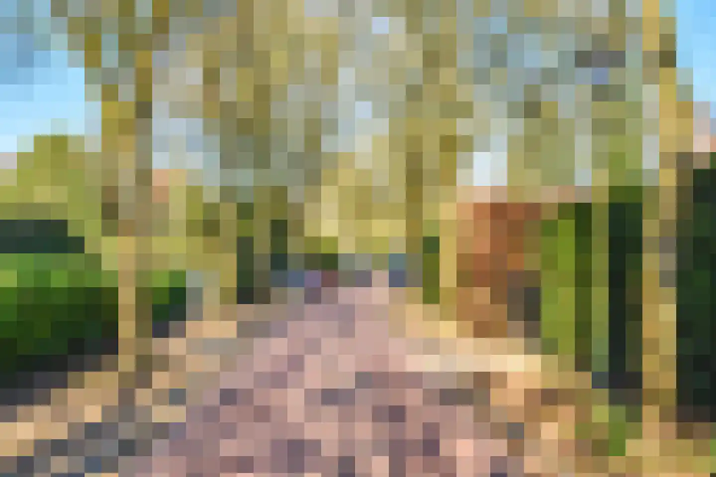 Rotondeweg 3 Blaricum thumbnail 34