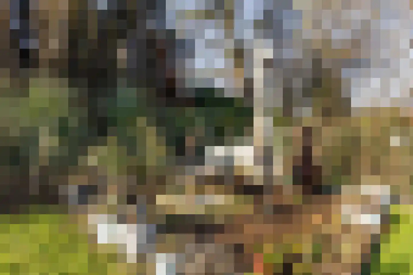 Rötscherweg 21 Landgraaf thumbnail 36