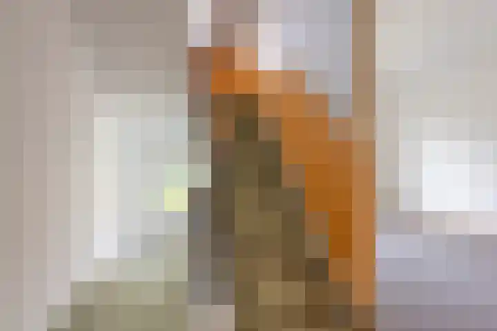 Rötscherweg 27 Landgraaf thumbnail 15