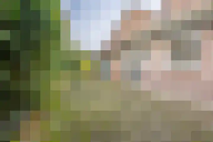 Rötscherweg 27 Landgraaf thumbnail 19