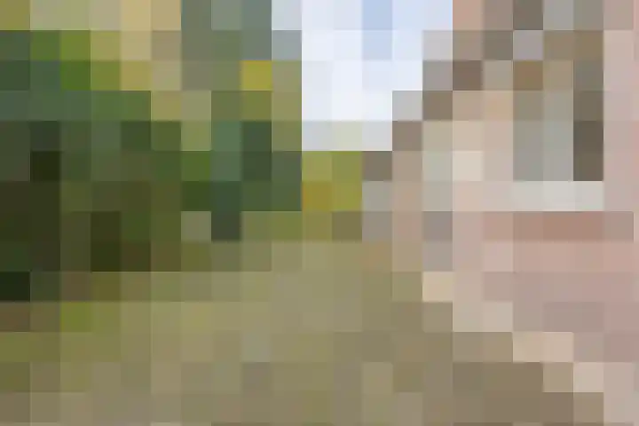 Rötscherweg 27 Landgraaf thumbnail 20
