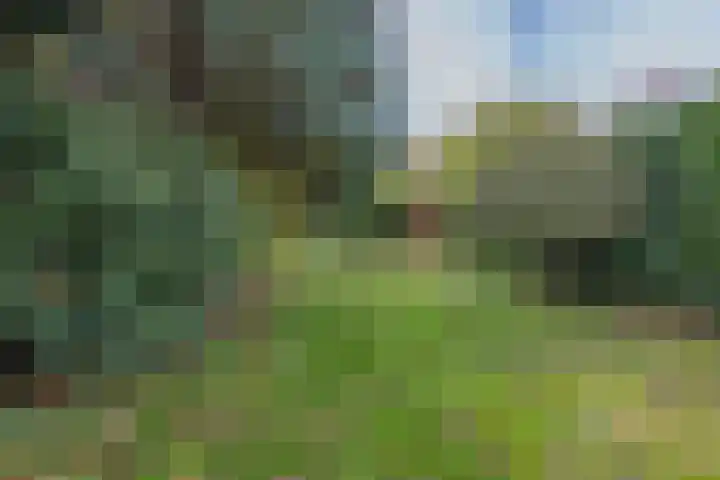 Rötscherweg 27 Landgraaf thumbnail 21